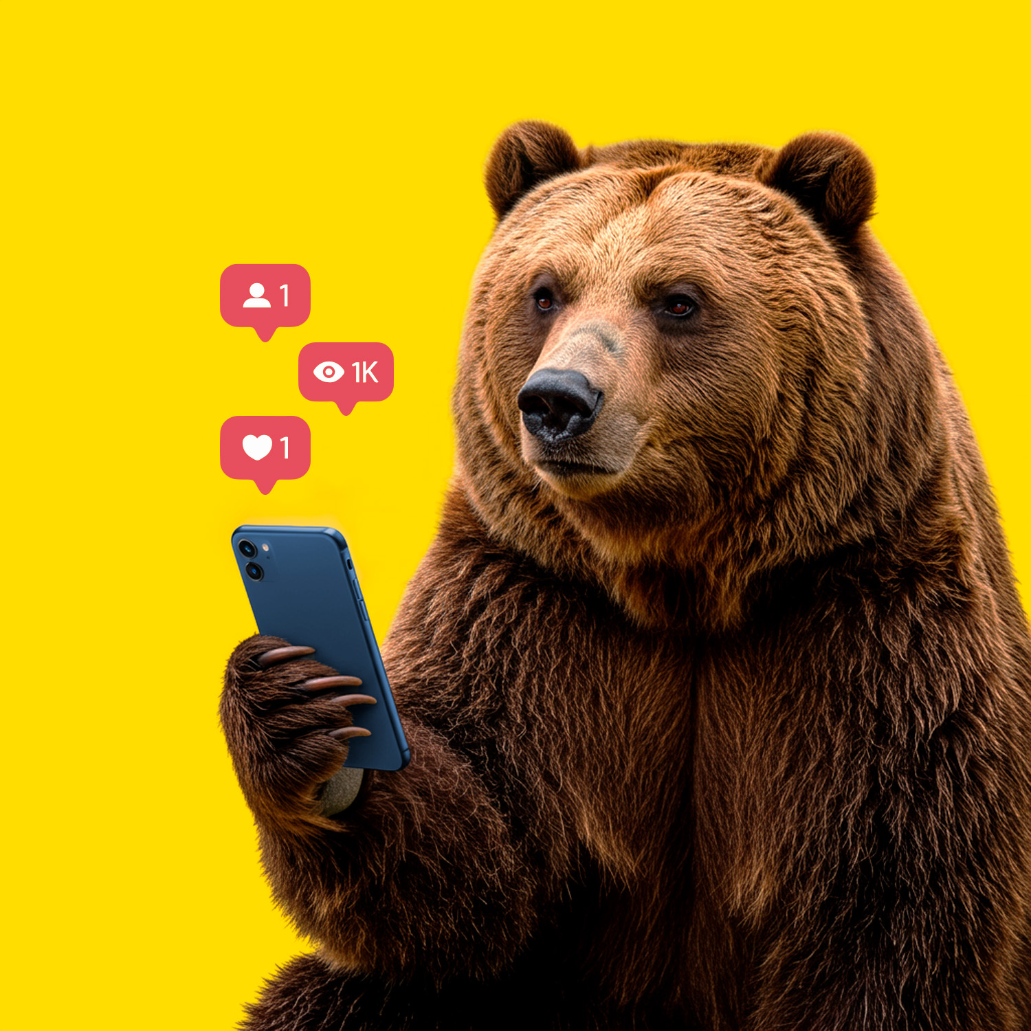¿Haces el OSO con tus contenidos?