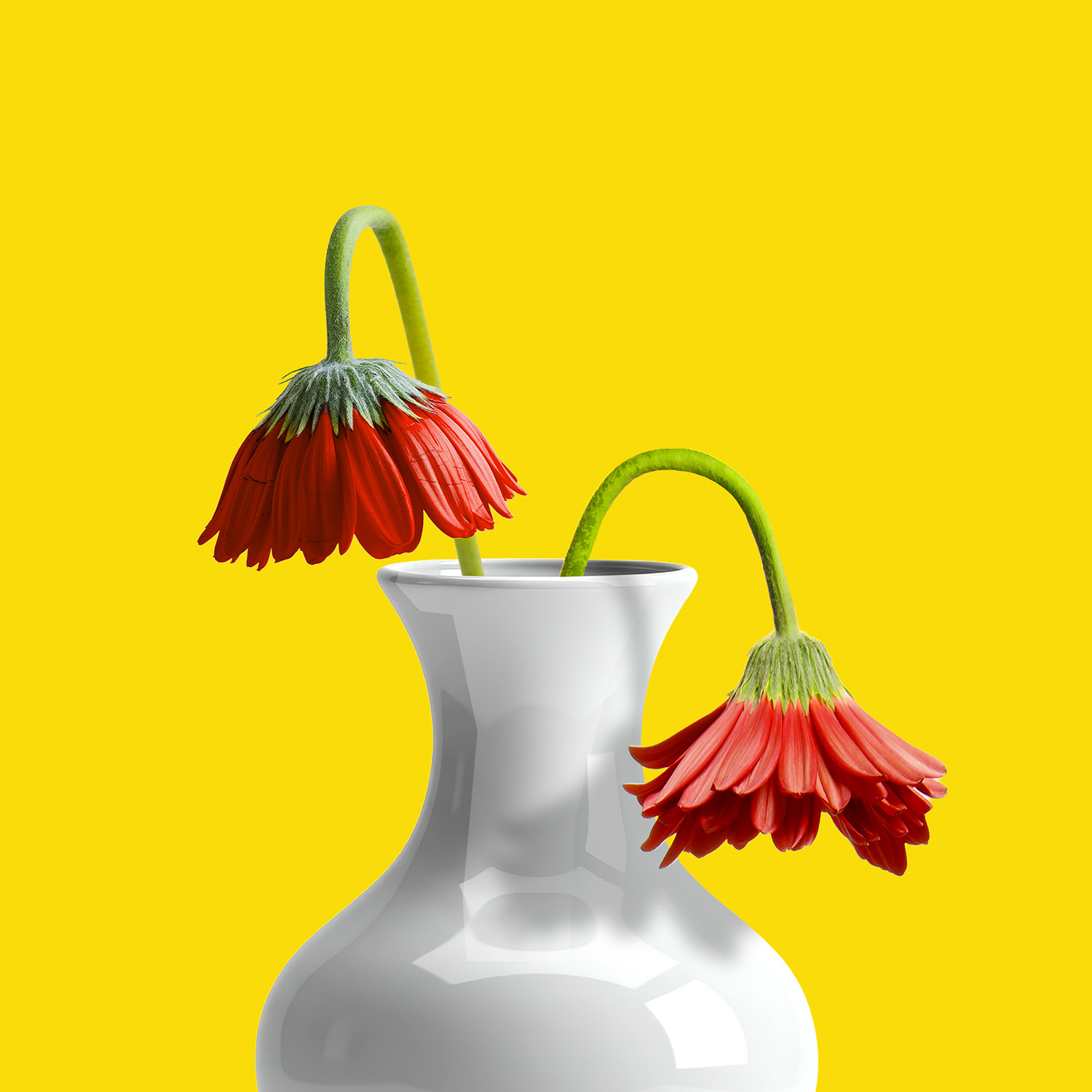 Se nos rompió el amor como a los Javis